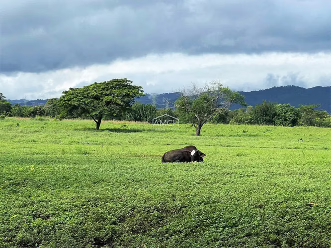 AM - Se Vende Terreno en Carretera Masaya para Desarrollo - Imagen 4