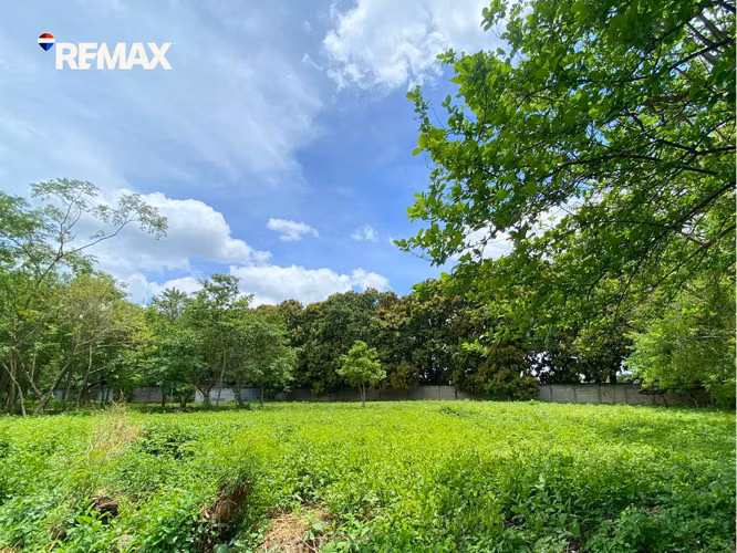 Lote en Km 13 Carretera a Masaya, Lomas de Monteverde