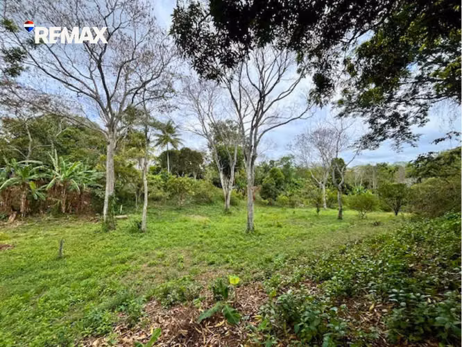 Quinta en Carretera Masatepe – San Marcos - Imagen 7