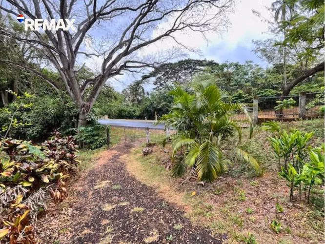 Quinta en Carretera Masatepe – San Marcos - Imagen 3