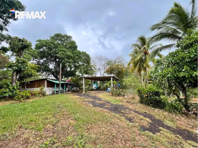 Quinta en Carretera Masatepe – San Marcos - Imagen 5