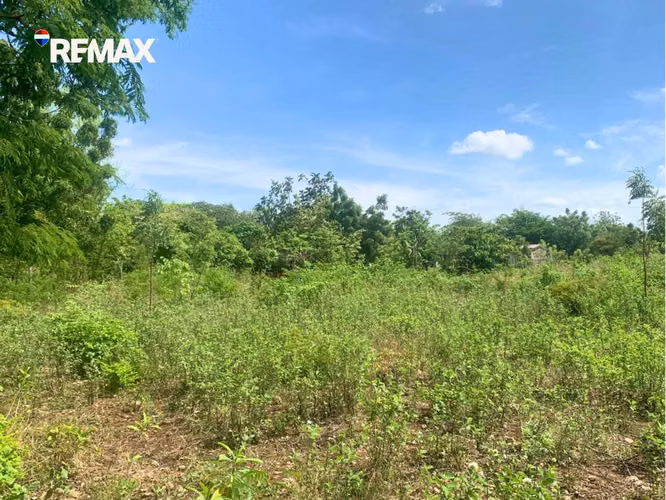 Lote en Las Banderas, Tipitapa - Imagen 3