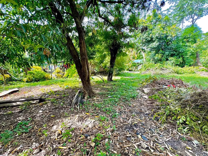 Terreno de primera calidad: ideal para vivienda o desarrollo