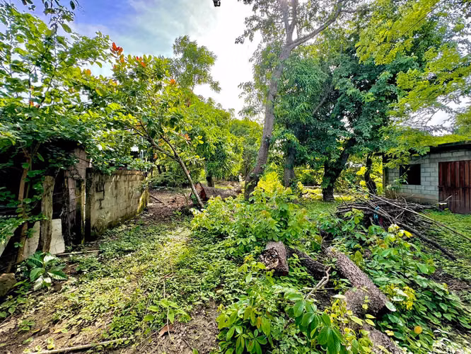 Terreno de primera calidad: ideal para vivienda o desarrollo