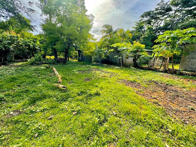 Terreno de primera calidad: ideal para vivienda o desarrollo