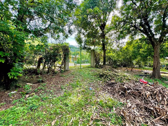 Terreno de primera calidad: ideal para vivienda o desarrollo