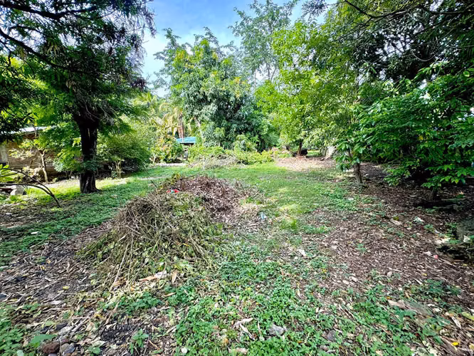 Terreno de primera calidad: ideal para vivienda o desarrollo
