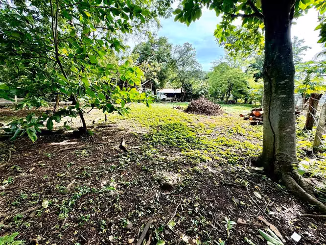 Terreno de primera calidad: ideal para vivienda o desarrollo