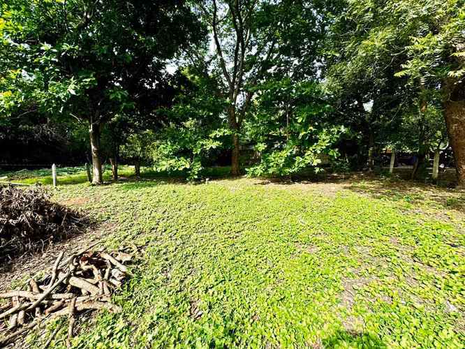 Terreno de primera calidad: ideal para vivienda o desarrollo