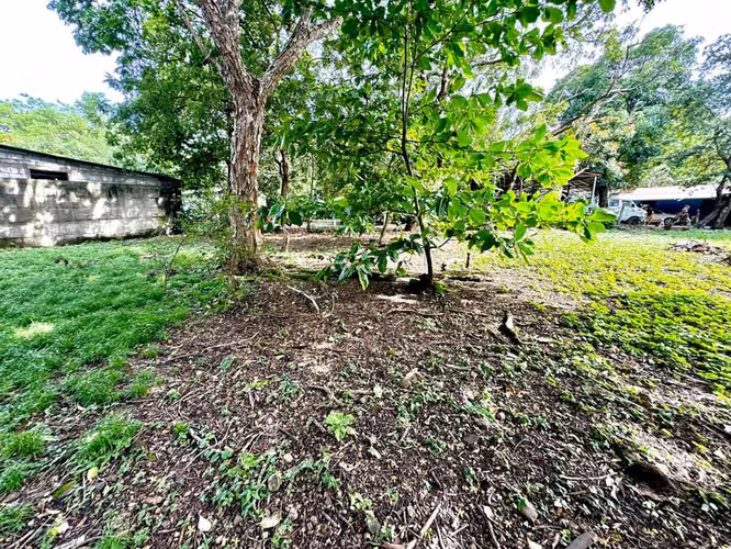 Terreno de primera calidad: ideal para vivienda o desarrollo