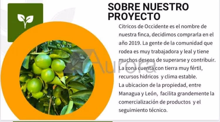 FINCA 0195 IG - Imagen 4