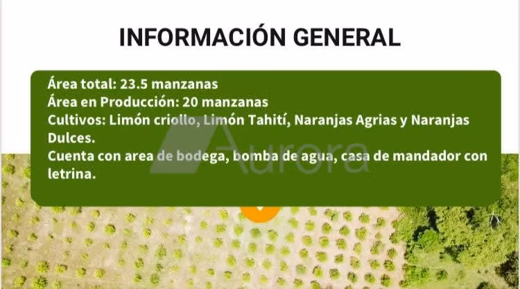 FINCA 0195 IG - Imagen 2
