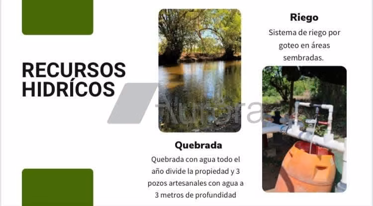 FINCA 0195 IG - Imagen 3