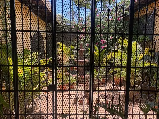 STO 1269 JL - Imagen 6