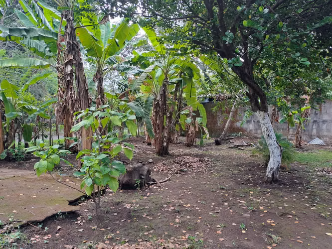 Venta de terreno en entrada de Volcán Mombacho  2 mzs dmm