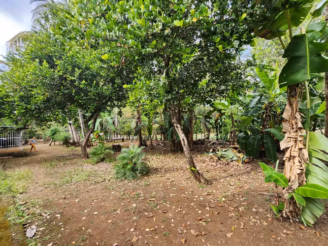 Venta de terreno en entrada de Volcán Mombacho  2 mzs dmm