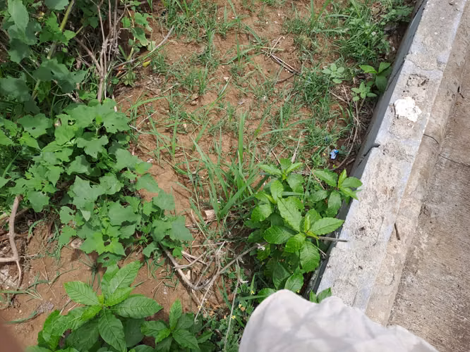 Venta de terreno esquinero en comunidad los Vanegas 5,000 vrs2 - Imagen 8