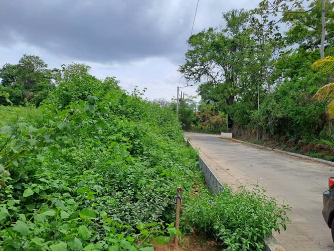 Venta de terreno esquinero en comunidad los Vanegas 5,000 vrs2 - Imagen 7