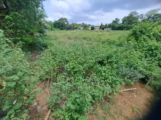 Venta de terreno esquinero en comunidad los Vanegas 5,000 vrs2 - Imagen 2