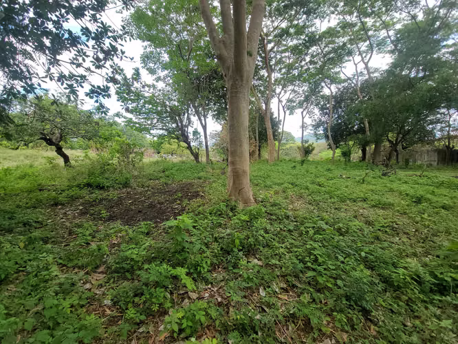 CB - Vuelve excelente terreno para construir diversos proyectos - Imagen 15