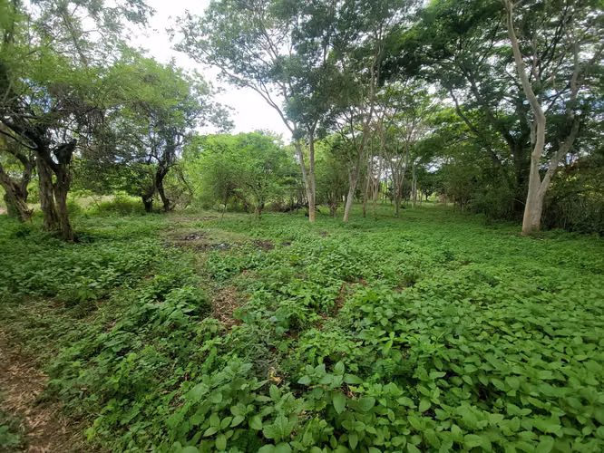 CB - Vuelve excelente terreno para construir diversos proyectos - Imagen 3