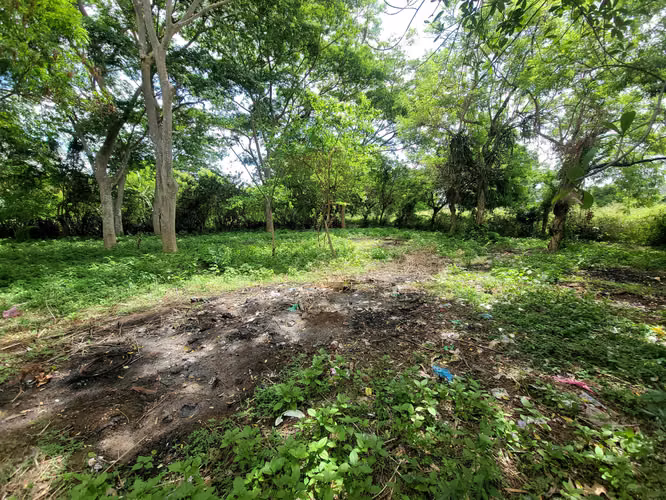 CB - Vuelve excelente terreno para construir diversos proyectos - Imagen 7