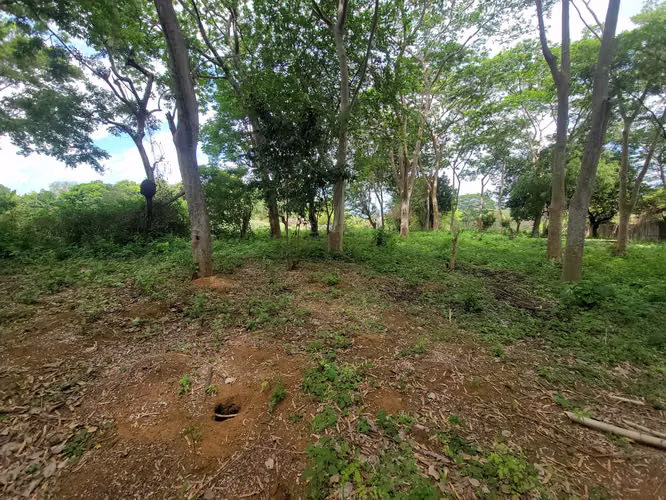 CB - Vuelve excelente terreno para construir diversos proyectos - Imagen 13