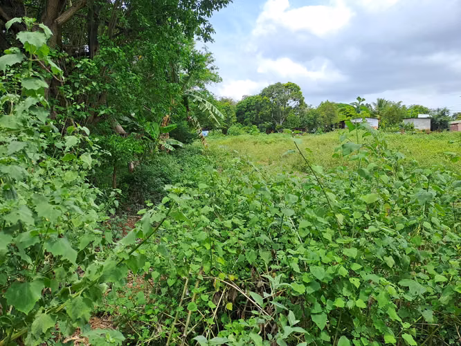 Venta de terreno esquinero  en Los Vanegas, ideal para inversión dmm - Imagen 8