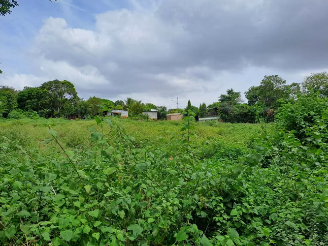 Venta de terreno esquinero  en Los Vanegas, ideal para inversión dmm - Imagen 9