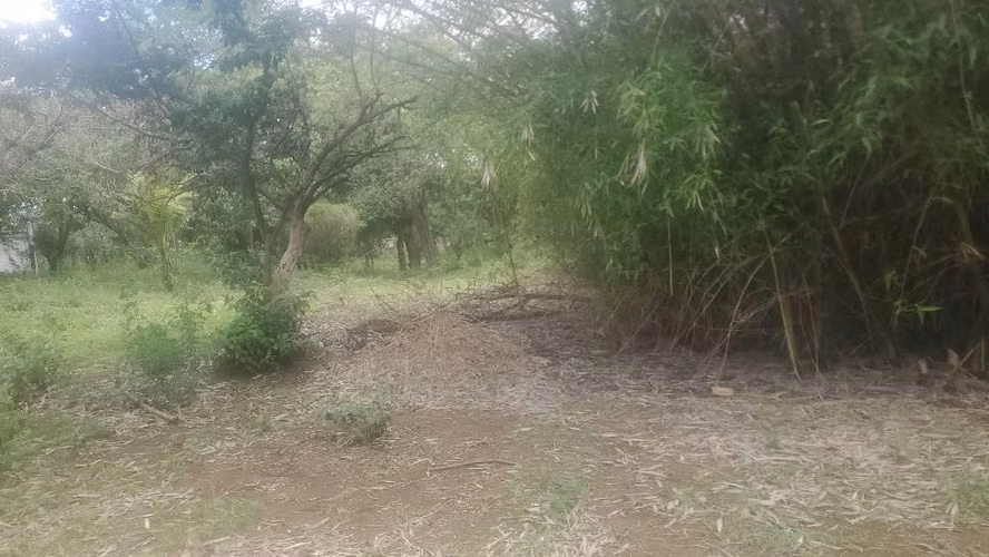 1 manzana carretera sur - Imagen 3