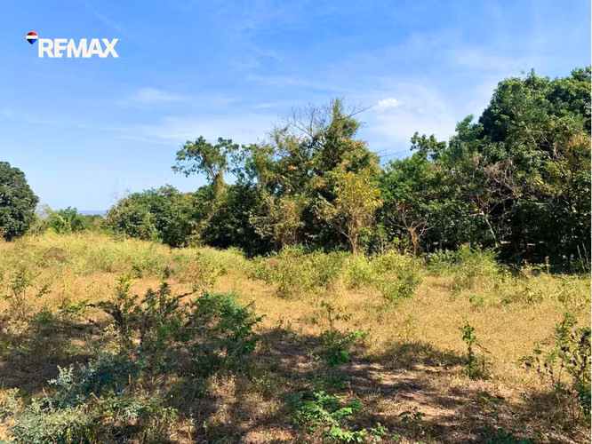 Lote de Inversión en Km 10.5 Ctra. a Masaya