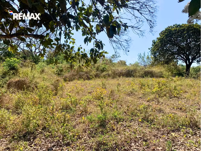 Lote de Inversión en Km 10.5 Ctra. a Masaya