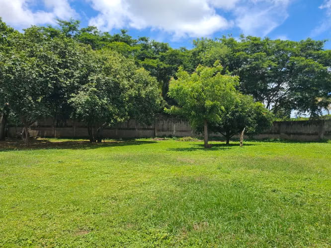 CARRETERA MASAYA - SE VENDE PARA INVERSION TERRENO + BODEGA,