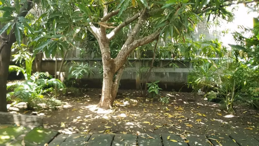 Casa en Masachapa