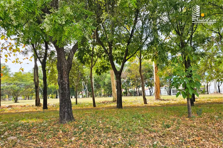 Terreno en Venta en Zona de C.Masaya - IY - Imagen 2