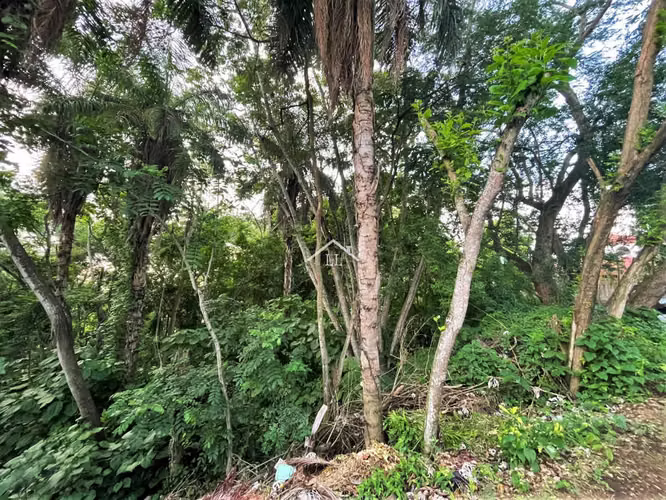 LL - Se Vende Terreno en Balcones de Santo Domingo - Imagen 6
