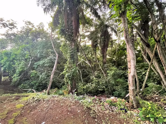 LL - Se Vende Terreno en Balcones de Santo Domingo - Imagen 8