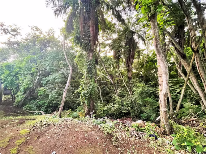 LL - Se Vende Terreno en Balcones de Santo Domingo - Imagen 2