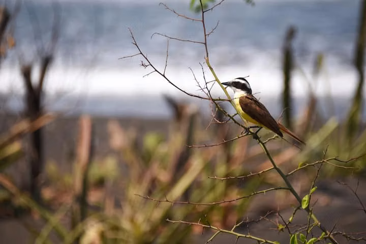 RENTA | Hermosa Casa de Playa en Salinas Grande