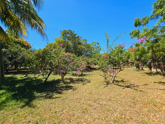FINCA DE 10.9 MANZANAS EN COFRADIA - Imagen 10