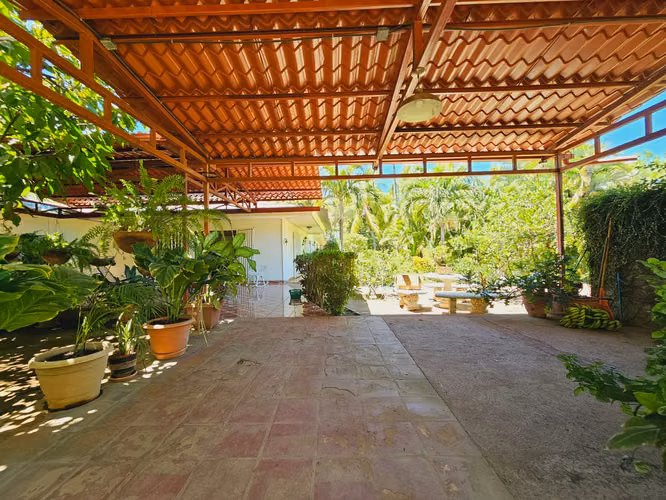 FINCA DE 10.9 MANZANAS EN COFRADIA - Imagen 2