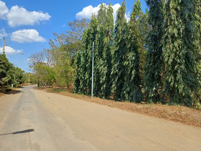 En venta precioso terreno en carretera vieja a Leon - Imagen 5