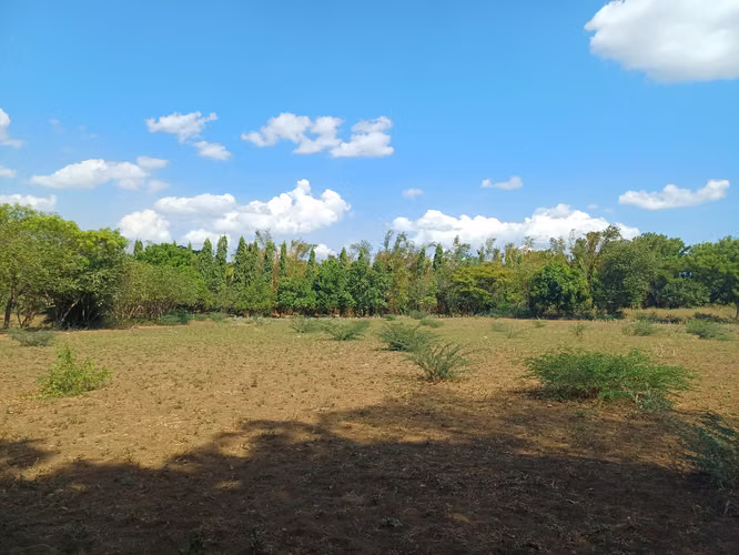 En venta precioso terreno en carretera vieja a Leon - Imagen 8