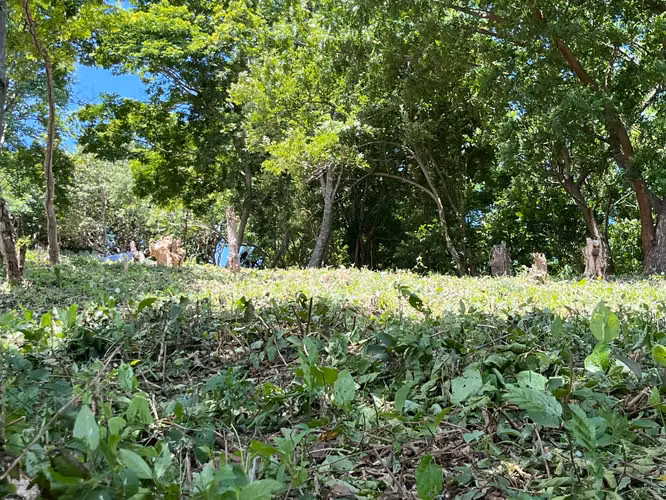 Oceanview Lot Just 5 Minutes from Town at Brisas del Pacifico