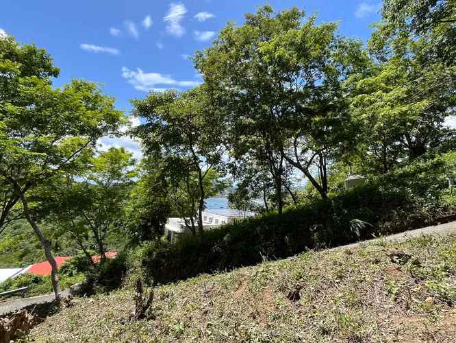 Oceanview Lot Just 5 Minutes from Town at Brisas del Pacifico
