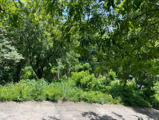 Oceanview Lot Just 5 Minutes from Town at Brisas del Pacifico