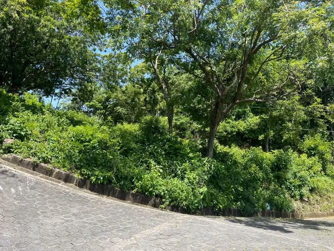 Oceanview Lot Just 5 Minutes from Town at Brisas del Pacifico