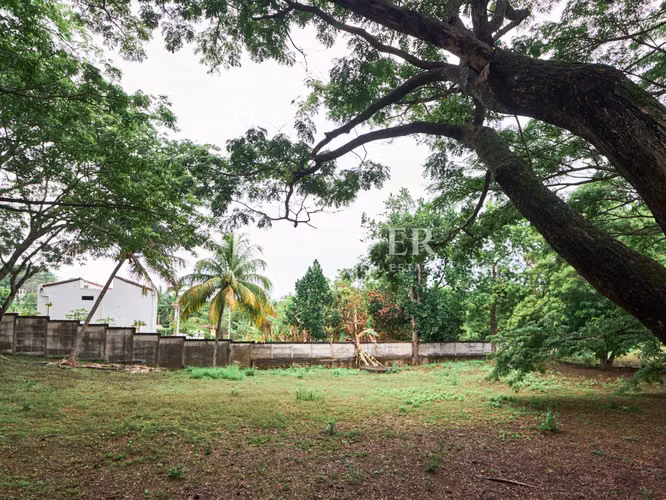 Lotes en venta en Residencial Montecarlo, Villa Fontana Sur – ID 13998 - Imagen 7