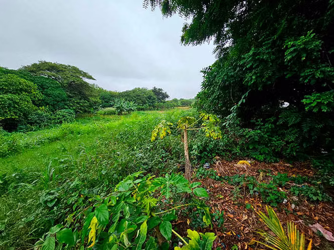 Terreno en venta en Las Jagüitas - ID 14490 - Imagen 2