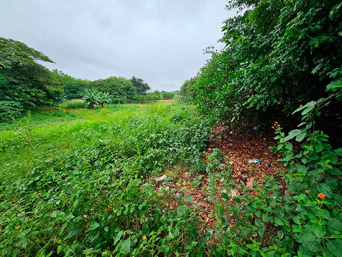 Terreno en venta en Las Jagüitas - ID 14490 - Imagen 3